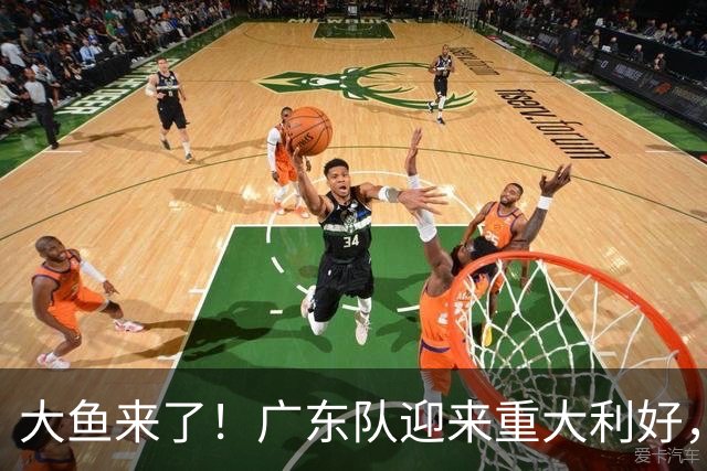 大鱼来了！广东队迎来重大利好，NBA全明星内线驰援亚帅？