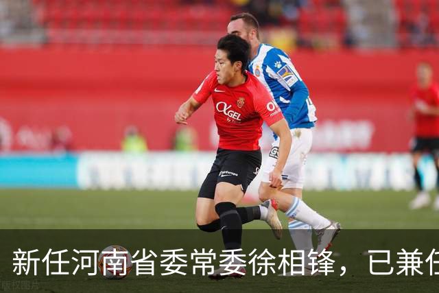 新任河南省委常委徐相锋，已兼任省委统战部部长