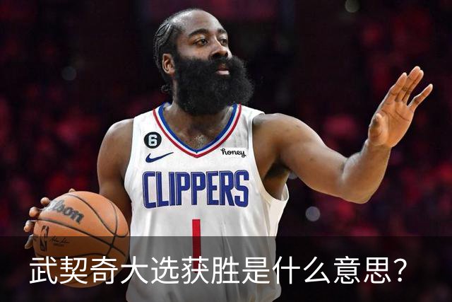 武契奇大选获胜是什么意思？
