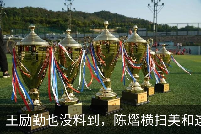 王励勤也没料到，陈熠横扫美和这一战，意外把马琳的底牌翻了出来