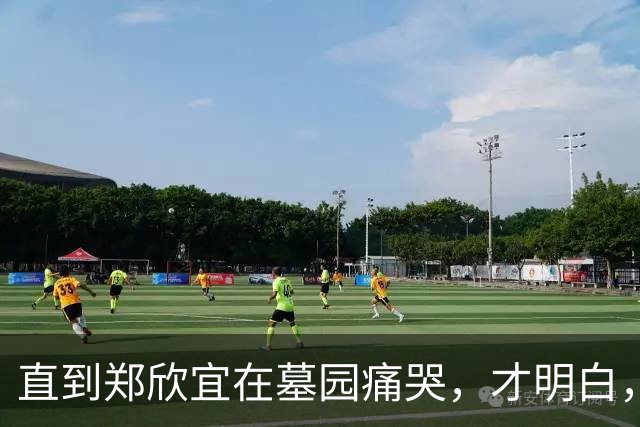 直到郑欣宜在墓园痛哭，才明白，谢贤的身后事安排，有多高明