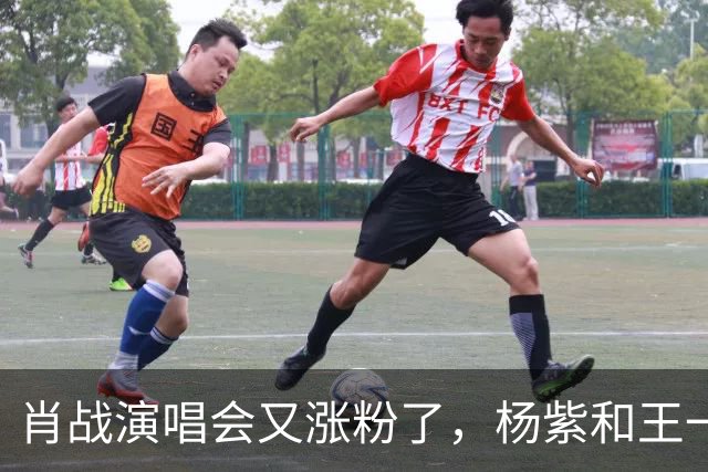 肖战演唱会又涨粉了，杨紫和王一博都被照顾了！