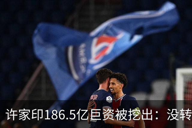 许家印186.5亿巨资被挖出：没转给丁玉梅，而是给了这位“老友”