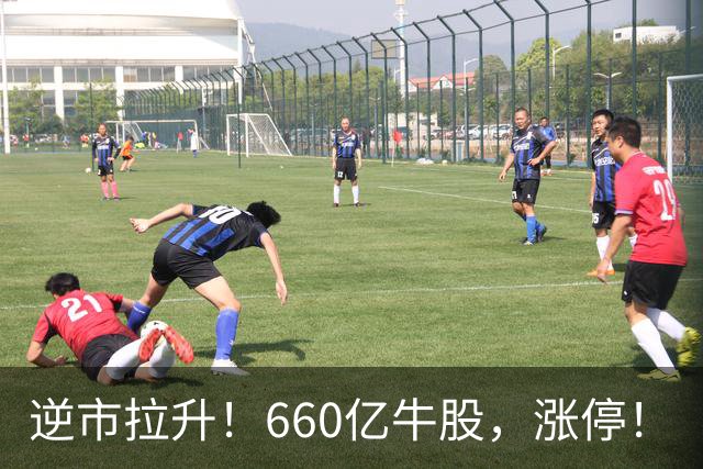 逆市拉升！660亿牛股，涨停！