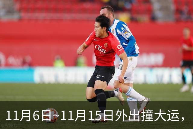 11月6日~11月15日外出撞大运，求财发大财，咸鱼翻身变土豪的生肖